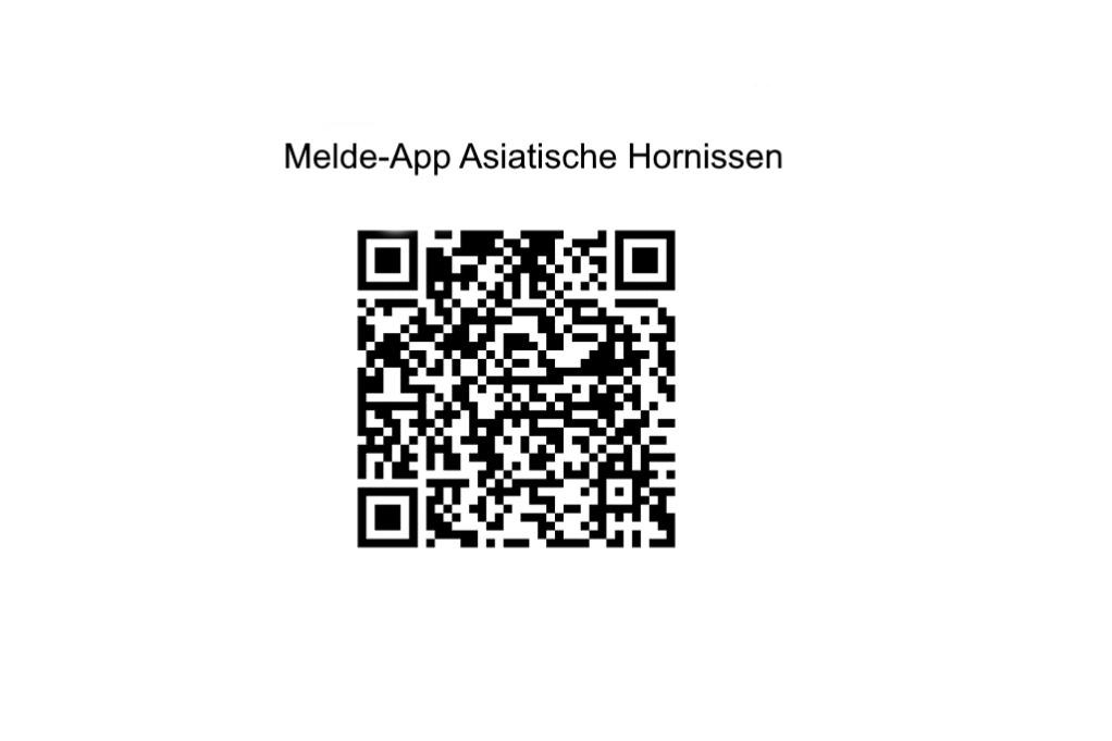 Melde-App Hornisse LUBW