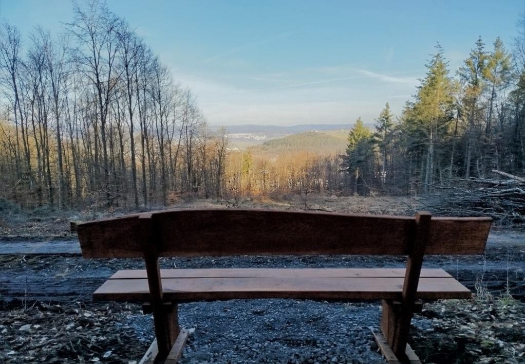 Neu aufgestellte Bank an der Pflanzfläche, (c) Stadt Mosbach