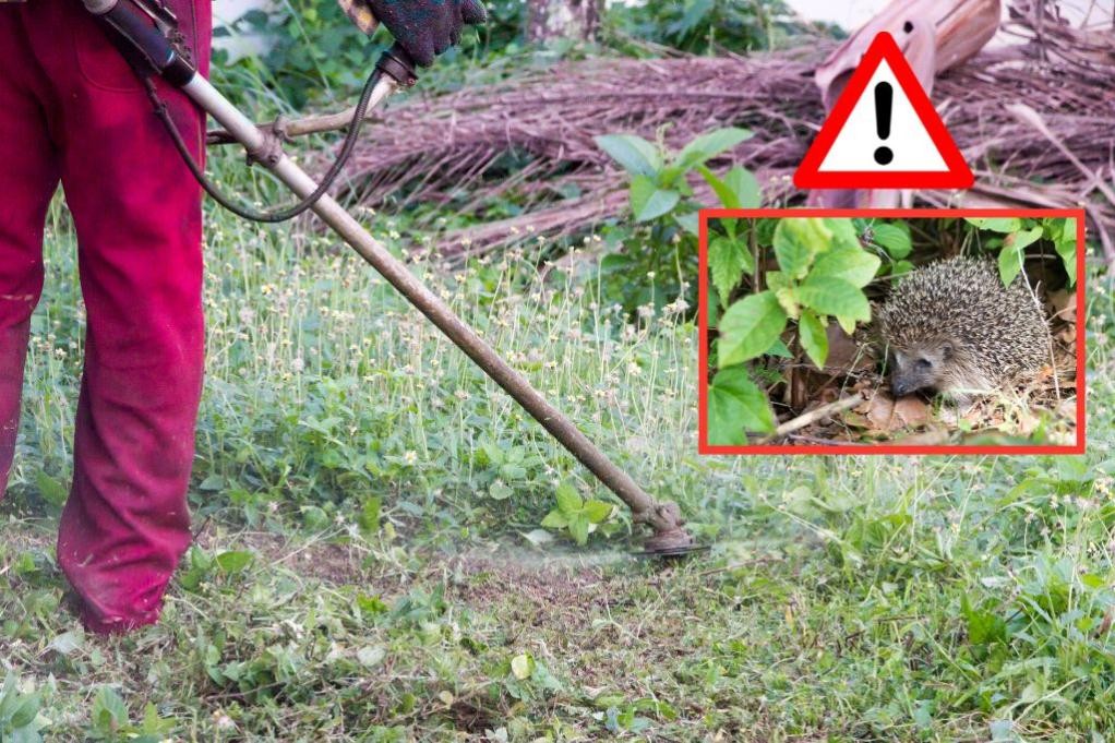 Achtung bei Gartenarbeiten, (c) Canva