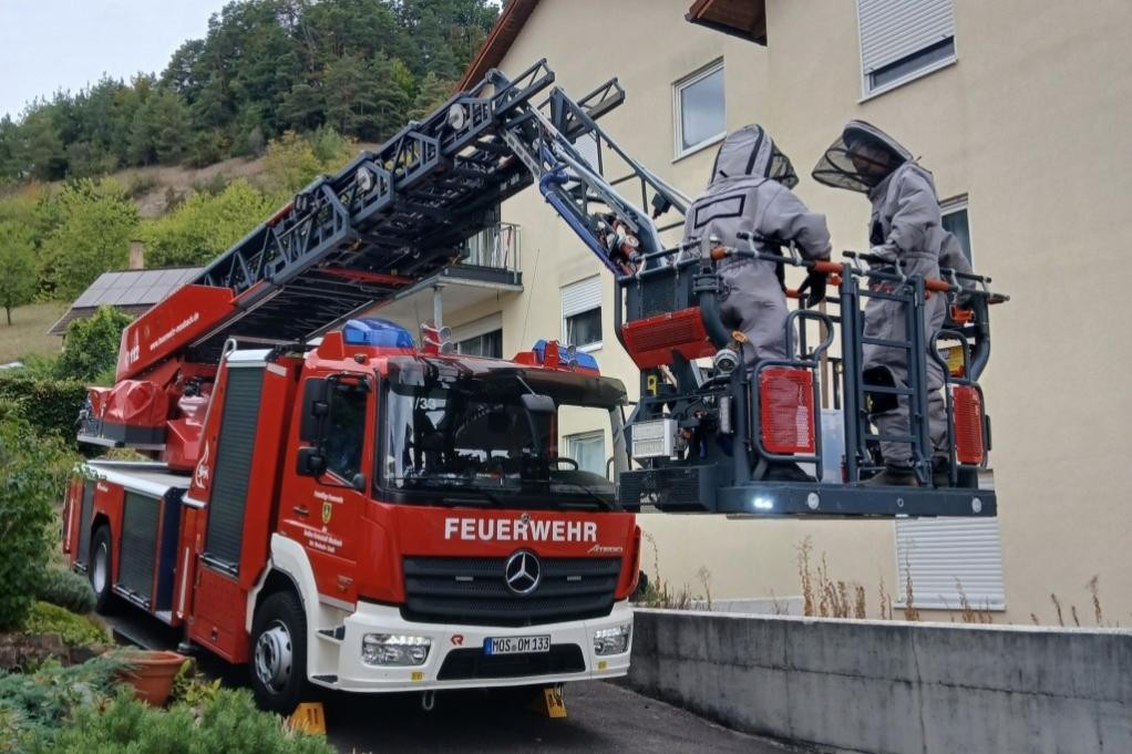 Mit der Feuerwehrleiter zum Hornissennest, (c) Stadt Mosbach