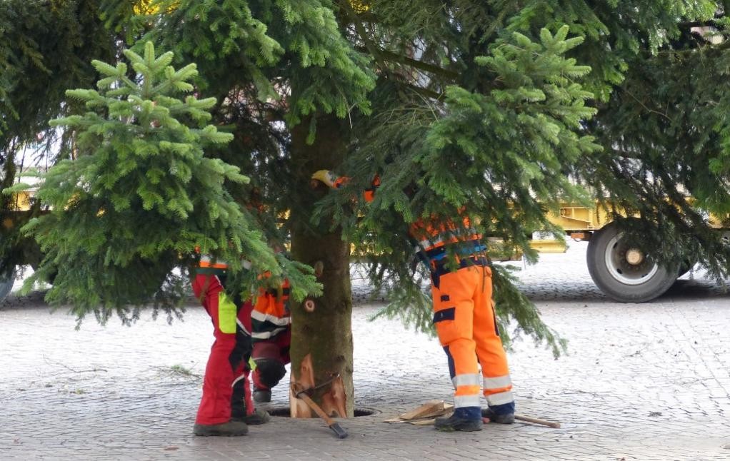 Weihnachtsbaum wird aufgestellt, (c) Stadt Mosbach