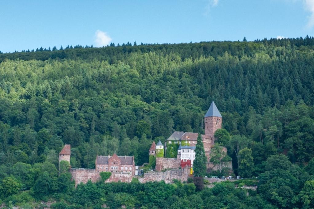 Schloss Zwingenberg, (c) Gemeinde Zwingenberg