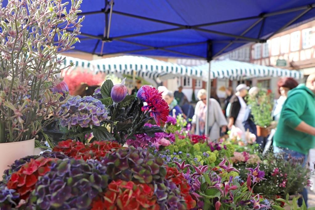 Blumenmarkt in Mosbach